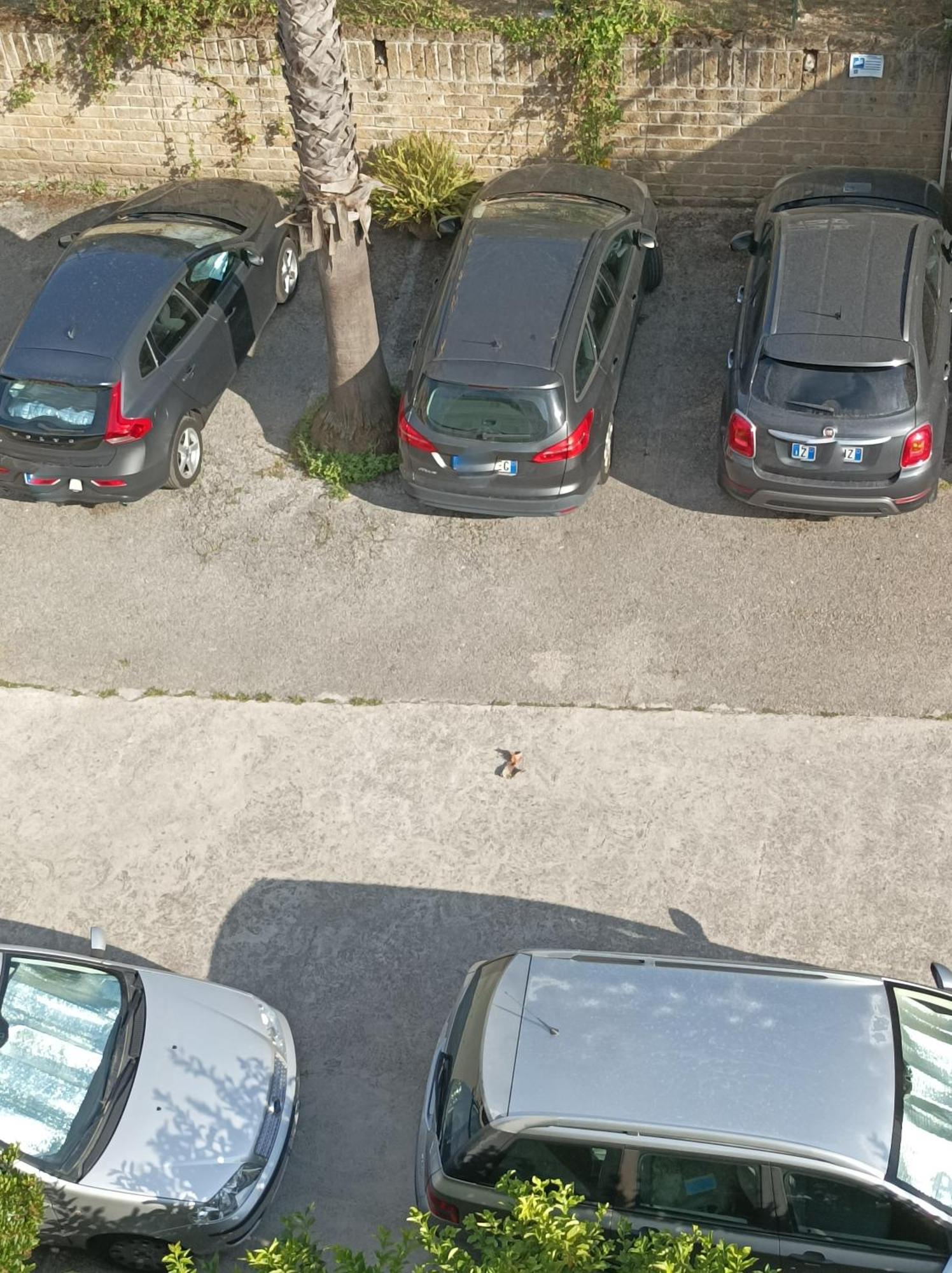 Villaggio Verde Cupra Cupra Marittima Zewnętrze zdjęcie