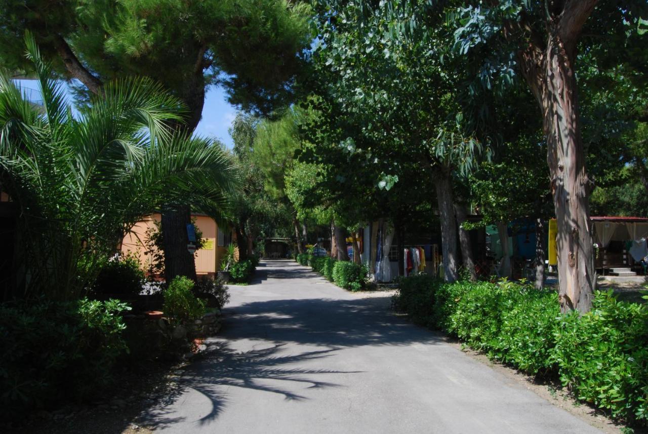 Villaggio Verde Cupra Cupra Marittima Zewnętrze zdjęcie